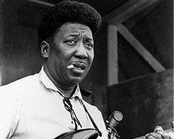 Muddy Waters